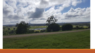 Woodford snapshots