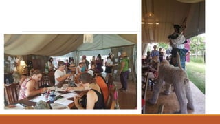Woodford snapshots