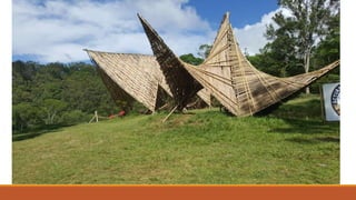 Woodford snapshots