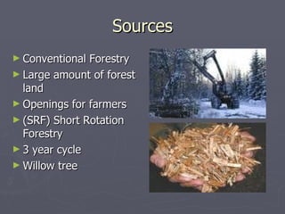 Sources Conventional Forestry Large amount of forest land Openings for farmers (SRF) Short Rotation Forestry 3 year cycle Willow tree 