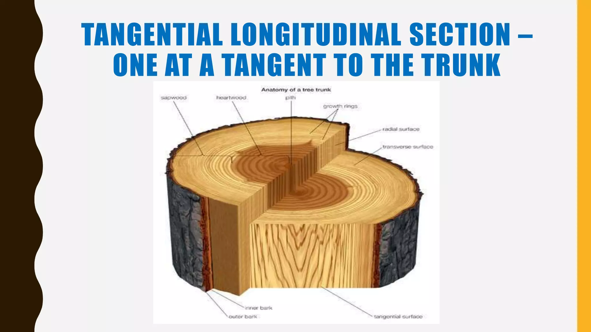 Wood identification presentation by Paul Lunakwita, former of NFA | PPTX