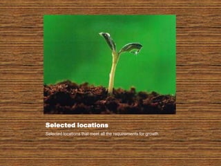 Selected locationsSelected locations that meet all the requirements for growth
