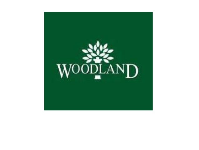 woodland shoes company