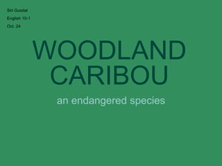 WOODLAND
CARIBOU
an endangered species
Siri Gusdal
English 10-1
Oct. 24
 