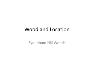 Woodland Location
Sydenham Hill Woods

 