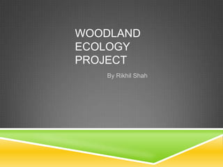 Woodland Ecology Project By Rikhil Shah 