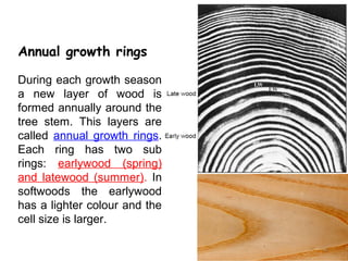 Annual growth rings

During each growth season
a new layer of wood is
formed annually around the
tree stem. This layers are
called annual growth rings.
Each ring has two sub
rings: earlywood (spring)
and latewood (summer). In
softwoods the earlywood
has a lighter colour and the
cell size is larger.

                               6
 