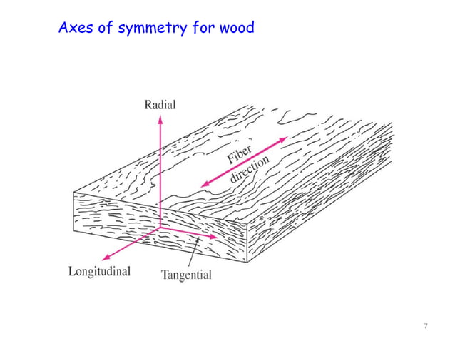 Wood (Microstructure) | PPT | Woodworking | Arts and Crafts