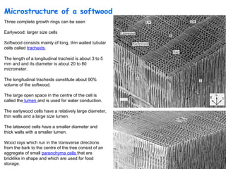 Microstructure of a softwood
Three complete growth rings can be seen

Earlywood: larger size cells

Softwood consists mainly of long, thin walled tubular
cells called tracheids.

The length of a longitudinal tracheid is about 3 to 5
mm and and its diameter is about 20 to 80
micrometer.

The longitudinal tracheids constitute about 90%
volume of the softwood.

The large open space in the centre of the cell is
called the lumen and is used for water conduction.

The earlywood cells have a relatively large diameter,
thin walls and a large size lumen.

The latewood cells have a smaller diameter and
thick walls with a smaller lumen.

Wood rays which run in the transverse directions
from the bark to the centre of the tree consist of an
aggregate of small parenchyma cells that are
bricklike in shape and which are used for food
                                                        9
storage.
 