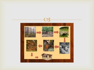 Timber Making Process Wood material and timber | PPTX