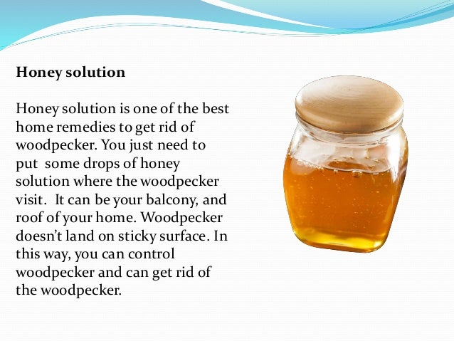 Natural woodpeckers deterrents home remedies