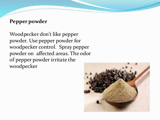 Natural woodpeckers deterrents home remedies