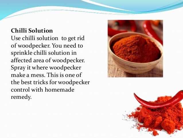 Natural woodpeckers deterrents home remedies