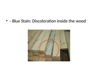• - Blue Stain: Discoloration inside the wood
 