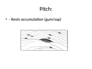 Pitch:
• - Resin accumulation (gum/sap)
 