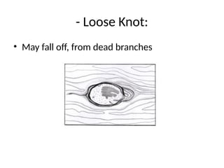 - Loose Knot:
• May fall off, from dead branches
 