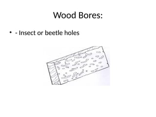 Wood Bores:
• - Insect or beetle holes
 