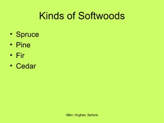 Kinds of Softwoods Spruce Pine Fir Cedar 