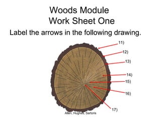 Woods Module   Work Sheet One Label the arrows in the following drawing. Label the arrows in the following drawing. 11) 12) 13) 14) 15) 16) 17) 11) 12) 