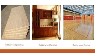 Rubber wood furniture Rubber wood flooringRubber wood panelling
 