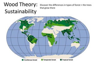 Wood Theory:
Sustainability
Discover the differences in types of forest + the trees
that grow there
 