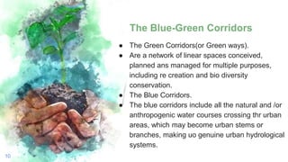 The Blue-Green Corridors
● The Green Corridors(or Green ways).
● Are a network of linear spaces conceived,
planned ans managed for multiple purposes,
including re creation and bio diversity
conservation.
● The Blue Corridors.
● The blue corridors include all the natural and /or
anthropogenic water courses crossing thr urban
areas, which may become urban stems or
branches, making uo genuine urban hydrological
systems.
10
 