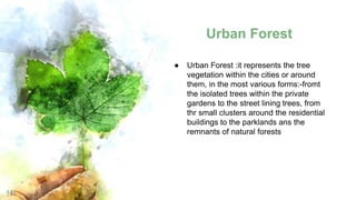 Urban Forest
14
● Urban Forest :it represents the tree
vegetation within the cities or around
them, in the most various forms:-fromt
the isolated trees within the private
gardens to the street lining trees, from
thr small clusters around the residential
buildings to the parklands ans the
remnants of natural forests
 