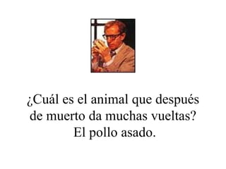 ¿Cuál es el animal que después de muerto da muchas vueltas?  El pollo asado. 