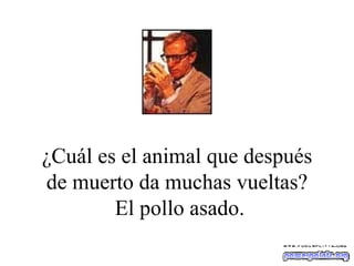 ¿Cuál es el animal que después de muerto da muchas vueltas?  El pollo asado. 