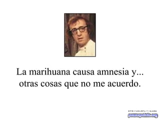 La marihuana causa amnesia y... otras cosas que no me acuerdo. 
