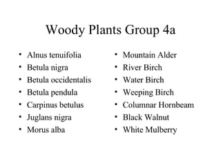 Woody Plants Group 4a
