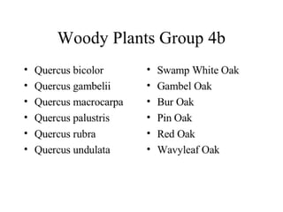 Woody Plants Group 4b