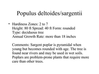 Populus deltoides/sargentii Hardiness Zones: 2 to 7  Height: 80 ft Spread: 40 ft Form: rounded  Type: deciduous tree  Annual Growth Rate: more than 18 inches  Comments: Sargent poplar is pyramidal when young but becomes rounded with age. The tree is found near rivers and may be used in wet soils. Poplars are problem-prone plants that require more care than other trees.  