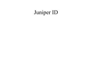 Juniper ID 