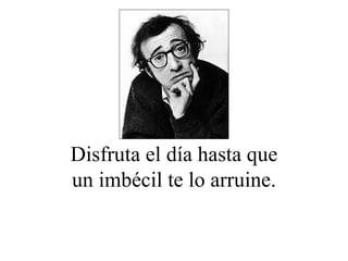 Disfruta el día hasta que un imbécil te lo arruine. 
