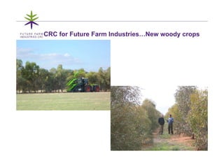 CRC for Future Farm Industries…New woody crops




                                          1
 