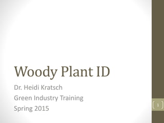 Woody Plant ID
Dr. Heidi Kratsch
Green Industry Training
Spring 2015
1
 