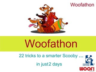 Woofathon  Woofathon  22 tricks to a smarter Scooby  … in just 2 days 