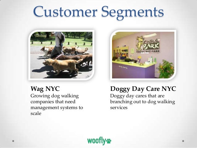 customer segments wag nyc doggy wag walker flyers