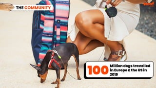 THE COMMUNITY
100
Million dogs travelled
in Europe & the US in
2019
 
