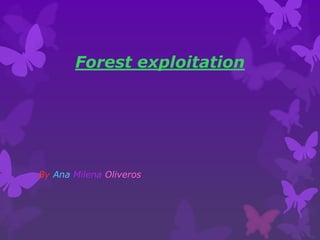 Forest exploitation 
By Ana Milena Oliveros 
 