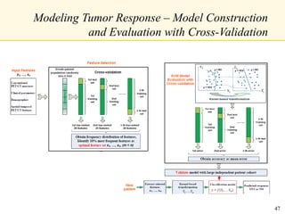 Modeling Tumor Response – Model Construction
and Evaluation with Cross-Validation
47
 