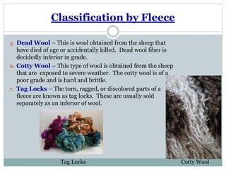Classification by Fleece
5. Dead Wool – This is wool obtained from the sheep that
have died of age or accidentally killed. Dead wool fiber is
decidedly inferior in grade.
6. Cotty Wool – This type of wool is obtained from the sheep
that are exposed to severe weather. The cotty wool is of a
poor grade and is hard and brittle.
7. Tag Locks – The torn, ragged, or discolored parts of a
fleece are known as tag locks. These are usually sold
separately as an inferior of wool.
Cotty WoolTag Locks
 