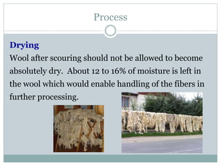Process
Drying
Wool after scouring should not be allowed to become
absolutely dry. About 12 to 16% of moisture is left in
the wool which would enable handling of the fibers in
further processing.
 