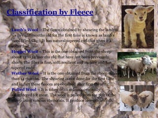 Classification by Fleece
1. Lamb’s Wool – The fleece obtained by shearing the lamb is
six to eight months old for the first time is known as lamb’s
wool (First Clip). It has natural tapered end that gives it a
softer feel.
2. Hogget Wool – This is the one obtained from the sheep
about 12 to 14 months old that have not been previously
shorn. The fiber is fine, soft, resilient and mature and has
tapered ends.
3. Wether Wool – It is the one obtained from the sheep older
than 14 months. The shearing is not done for the first time
and in fact these fleeces are obtained after first shearing.
4. Pulled Wool – It is taken from animals originally
slaughtered for meat. The wool is pulled from the pelt of the
sheep using various chemicals. It produce low-grade cloth.
 