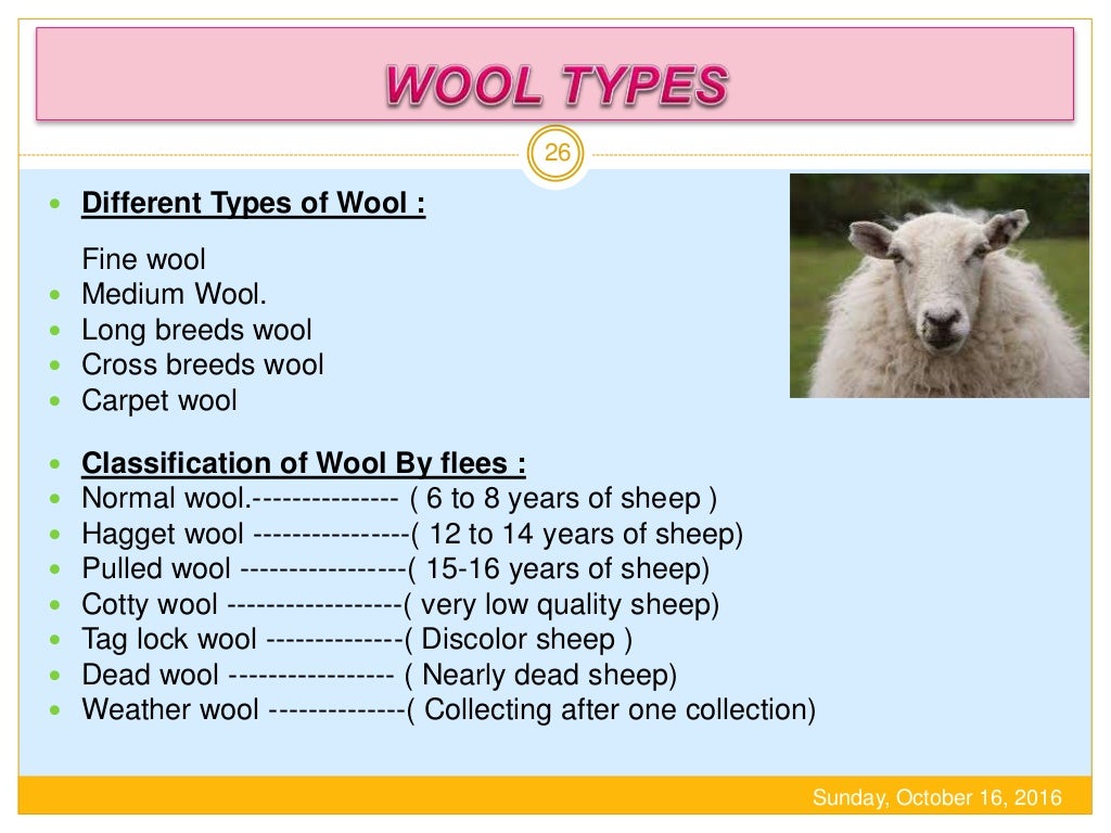 Protein Fiber (Wool)