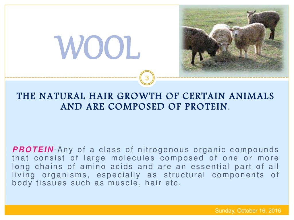 Protein Fiber (Wool)