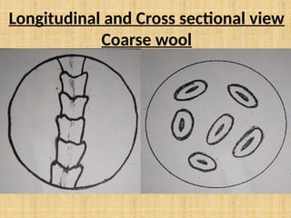 Wool and their structure, morphology and components property | PPTX