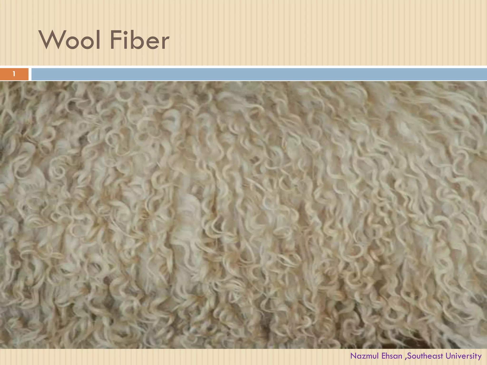 Wool Fiber
1
Nazmul Ehsan ,Southeast University
 
