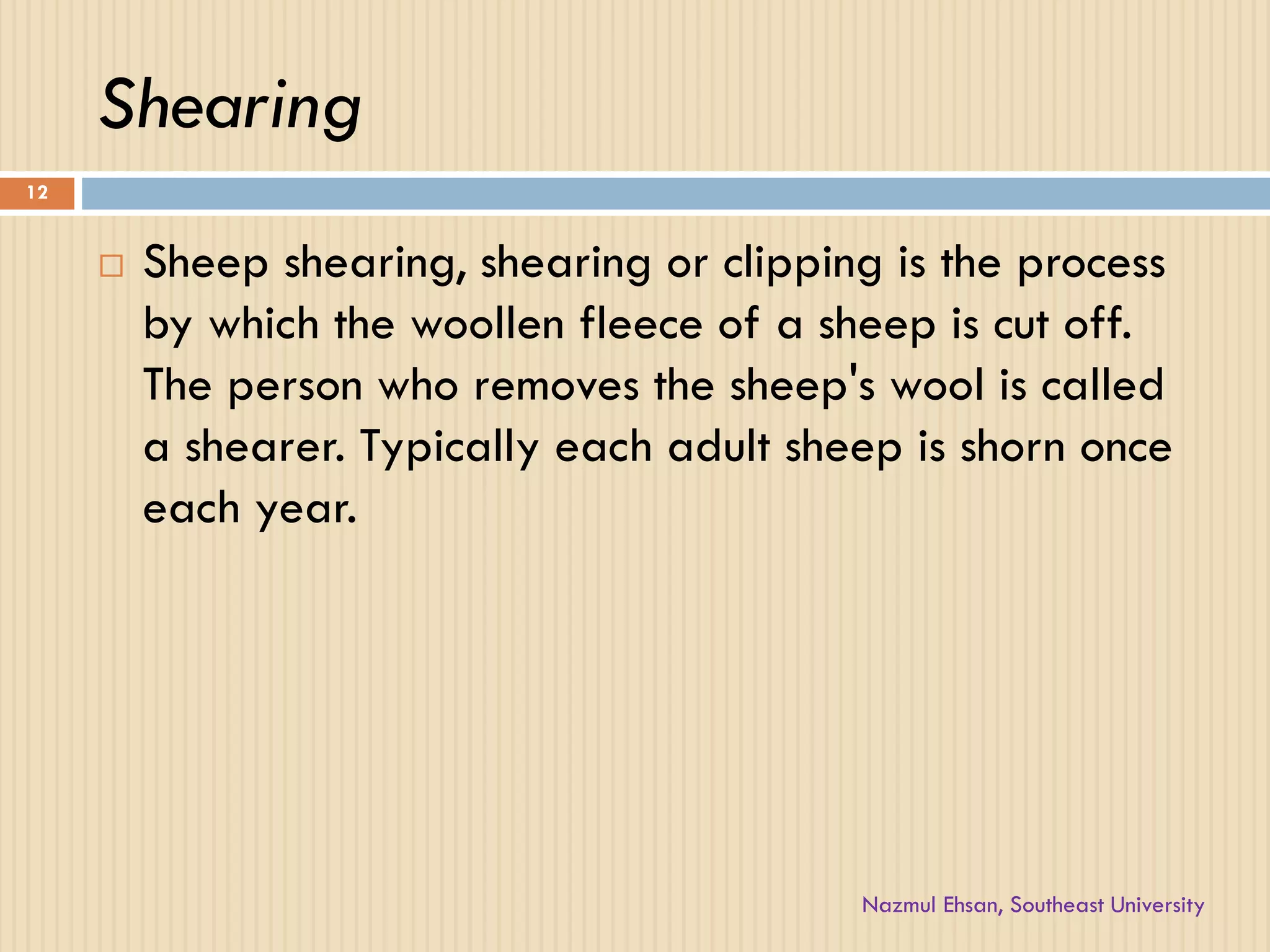 Shearing
 Sheep shearing, shearing or clipping is the process
by which the woollen fleece of a sheep is cut off.
The person who removes the sheep's wool is called
a shearer. Typically each adult sheep is shorn once
each year.
12
Nazmul Ehsan, Southeast University
 